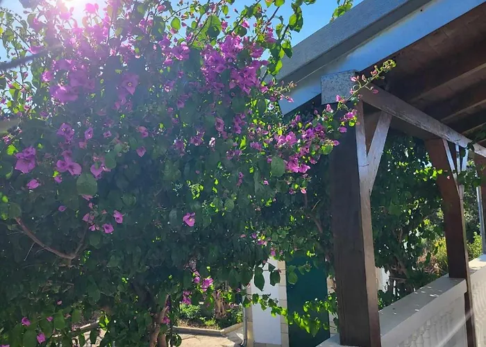 House Harmony Apartman *